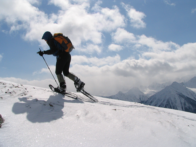 Dinah is probably already thinking about what she's gonna eat for dinner!