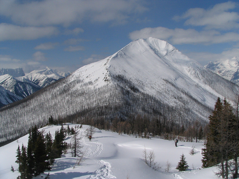 This would have been really fun to ski down...