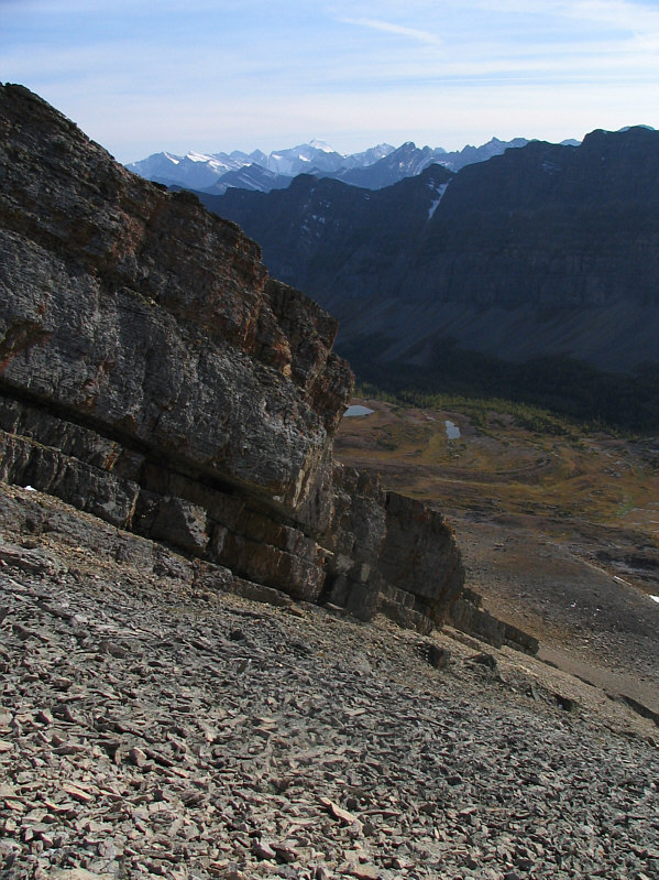 Pick your poison, I guess!