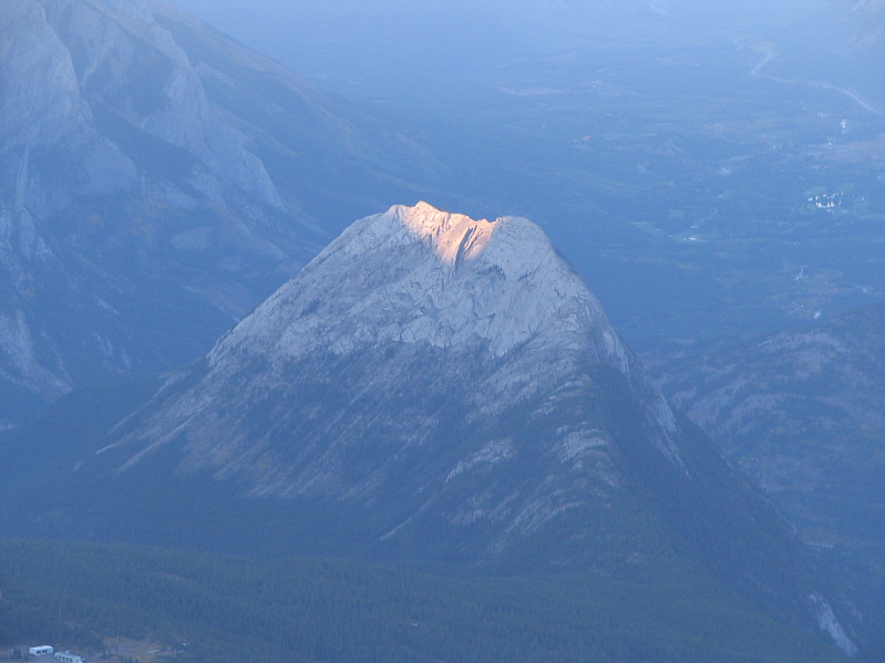 More bushwhacking fun!