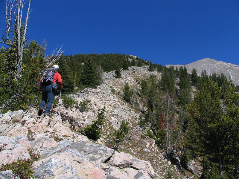 Still a long way to go, baby!