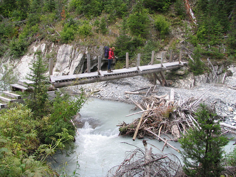 She previously forded the creek a little further downstream from here.