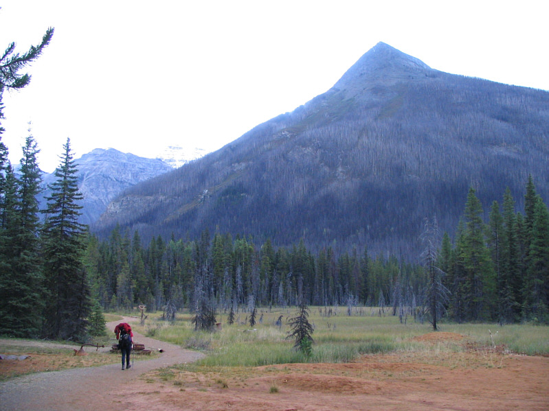 I'm looking forward to sleeping in a warm bed tonight!