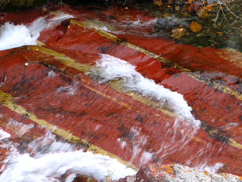 Kinda reminds me of a steak!