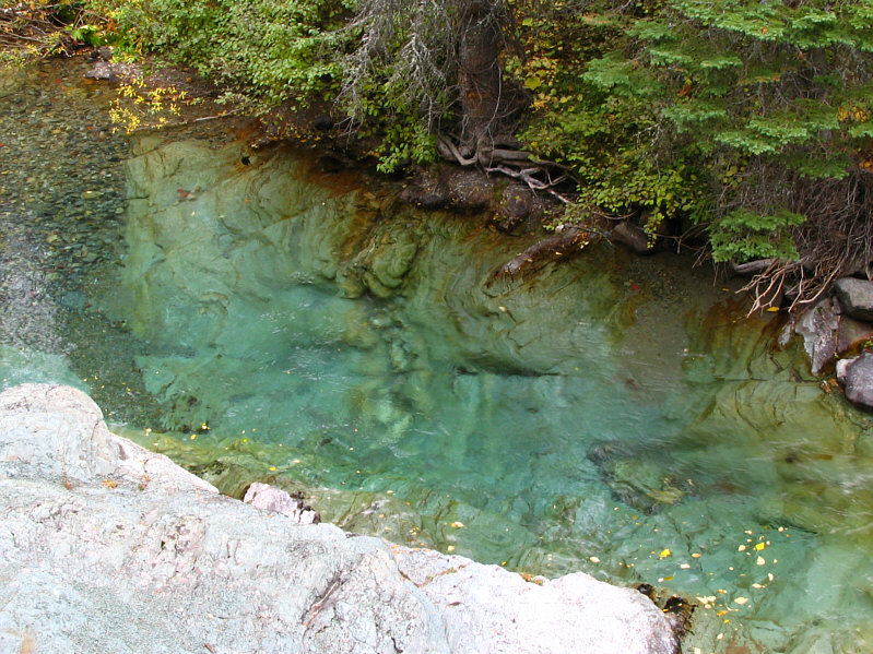 You could spend all day photographing the creek!