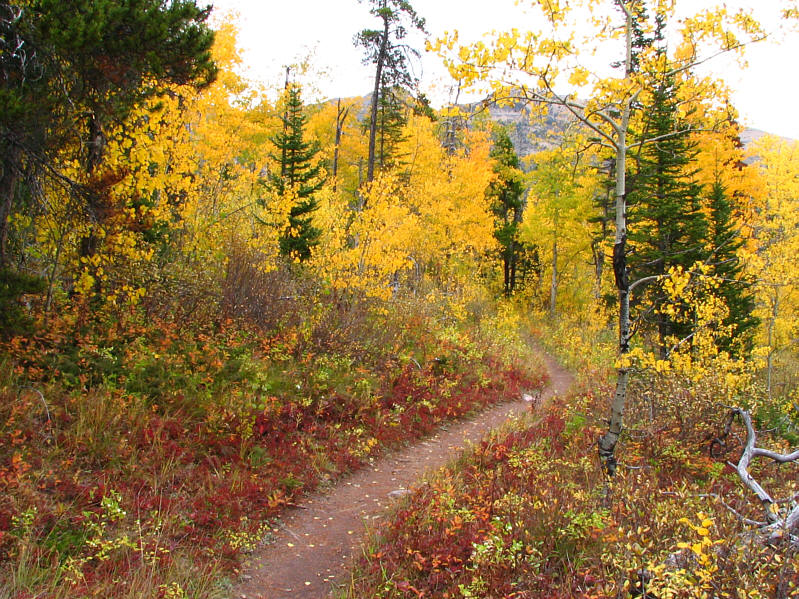 I definitely want to come back to this beautiful place.