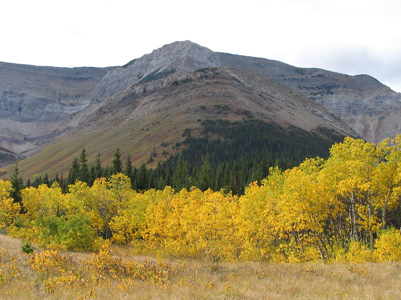 The rock band near the top looks impossible from this distance!