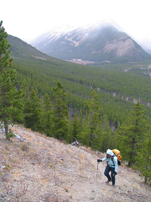 Dinah doesn't look overly thrilled!