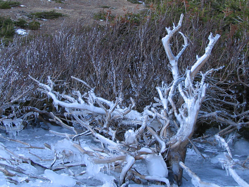 I took this photo while standing on the partially ice-covered lake.
