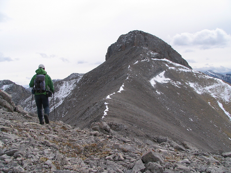 Hmmm...it figures. The blue sky disappears when I get out of the trees!
