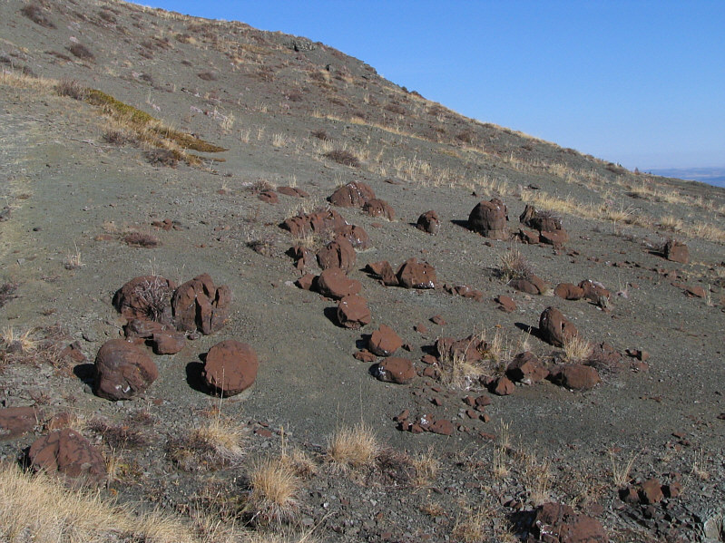 Almost looks like someone was trying to spell something!