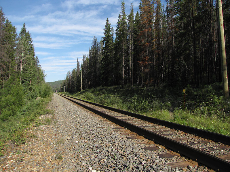 Hopefully, you won't have to jump a train here!