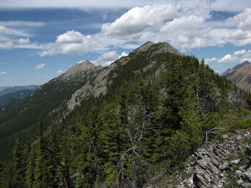 Even getting to the first true high point is a bit complicated.