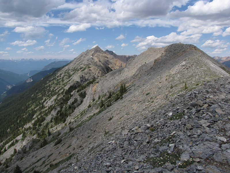 Mount Hunter's summit is also visible here although I didn't realize it at the time.