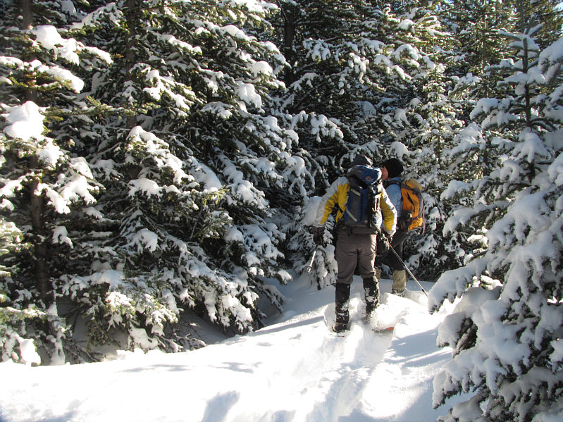 Dinah and I were ready to turn back at this point!