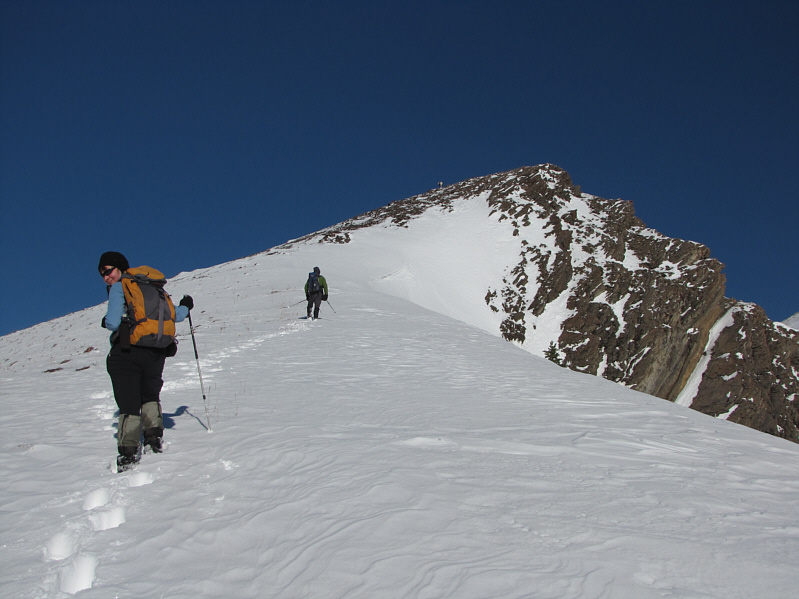 That sheep moved up the ridge so effortlessly--four legs are definitely better than two!