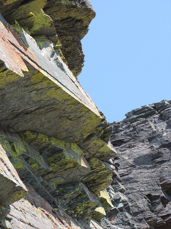 I guess they don't "lichen" the heat from the sun!