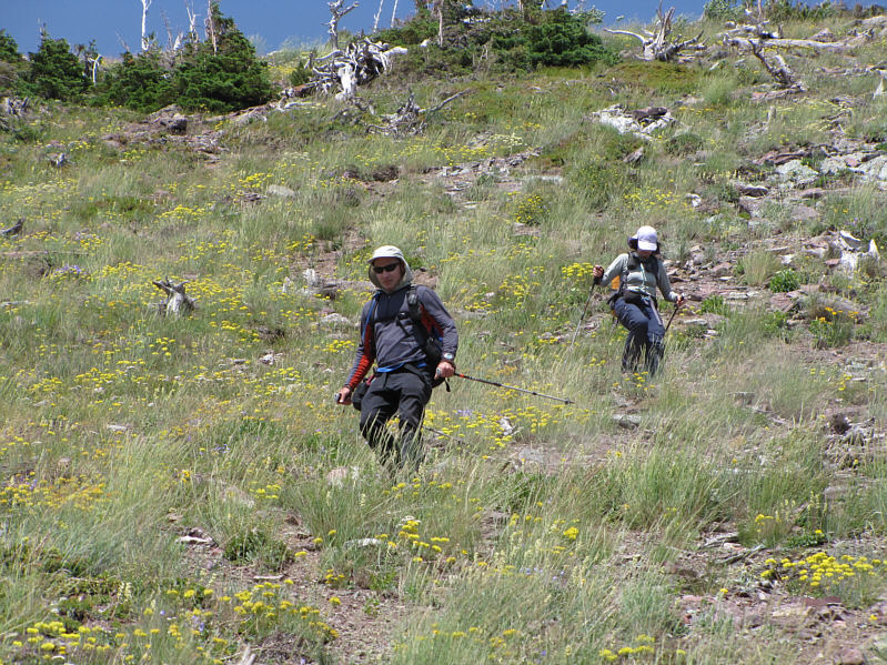 Definitely better going down this way than going up!