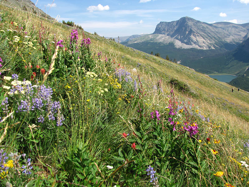Great place for a picnic!