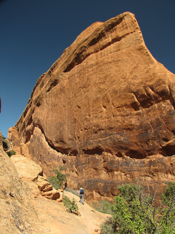 Looks like a giant shark fin!