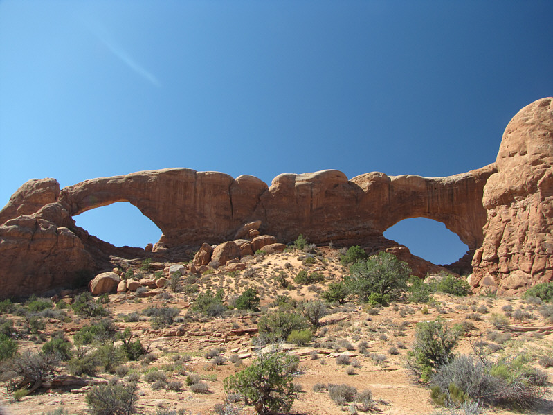 They're like a couple of eyes staring back!