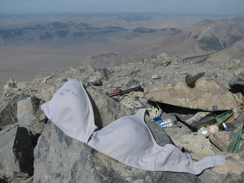 On the bra, it says, "Sex @ 12662 is worth it"!