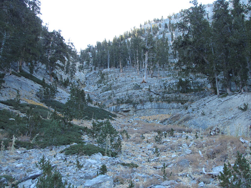 It's hard to see, but there are still a lot of those nasty thistles out there!