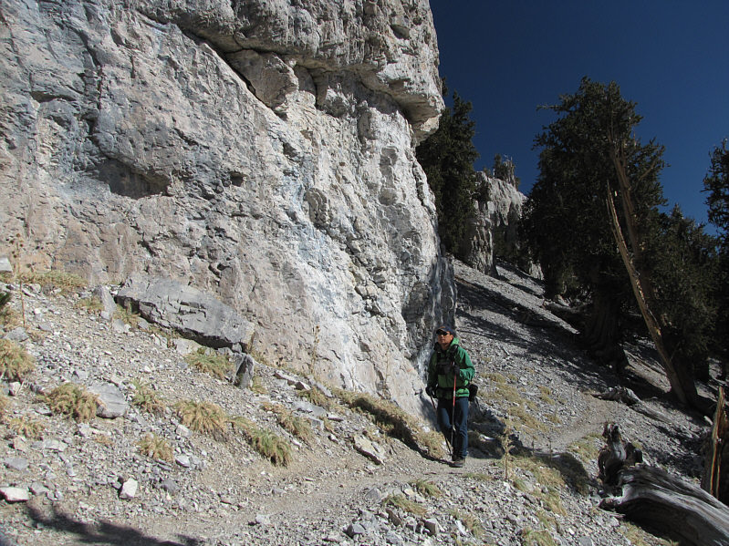 It beats walking up and down the Strip!