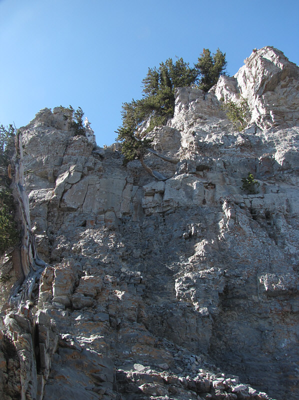 People with short reaches will find the crux challenging.