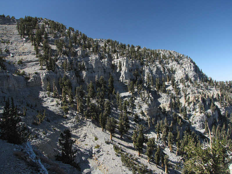 Okay, let's head for Mummy!