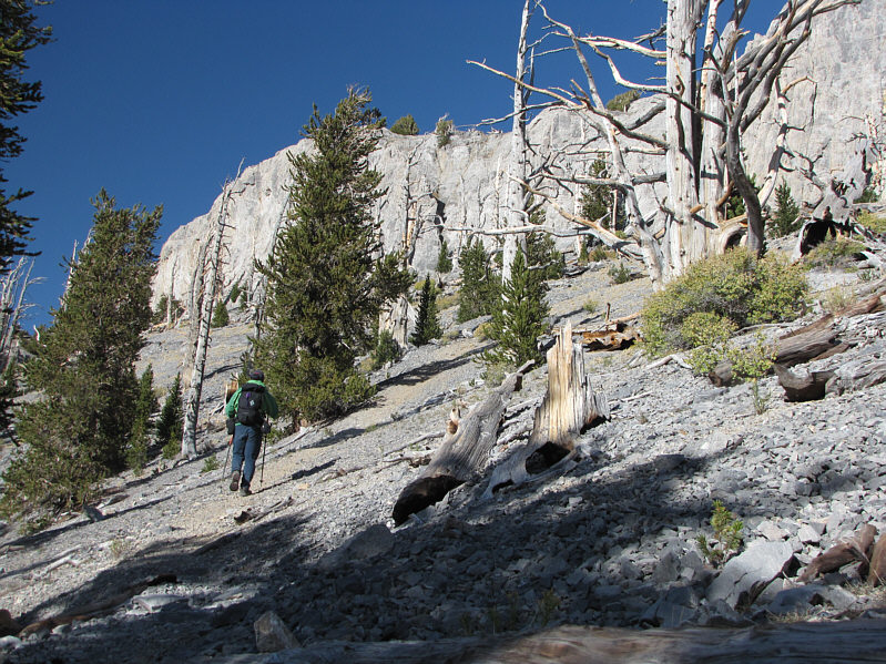 Thankfully, I didn't have to contend with snow here like Bob and Dinah did.