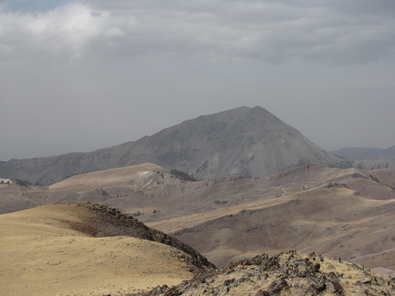 Can you spot the antenna?