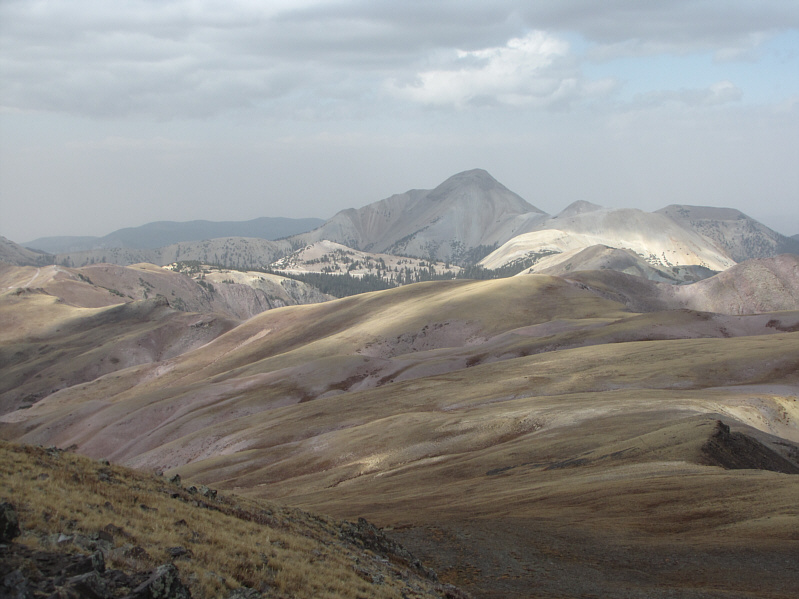 Just not today with that ferocious wind!