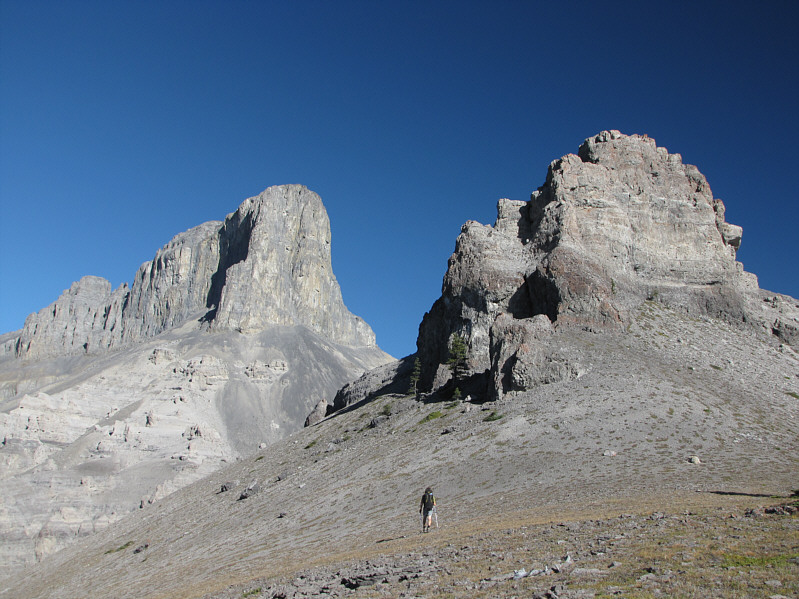 We climbed up this thing by mistake on the way back!