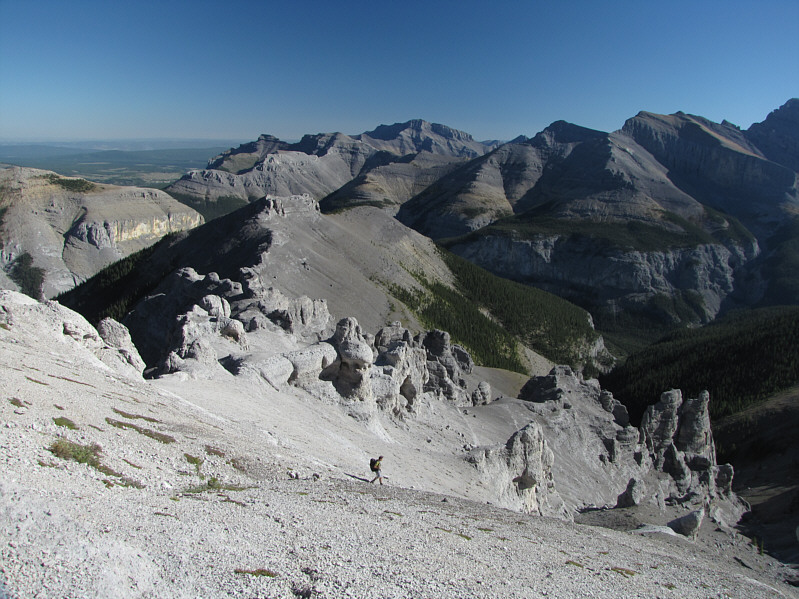 My mom calls them "Toohoos"!