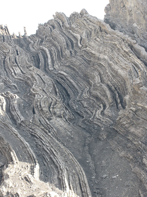 Strangely, it reminds me of spaghetti!