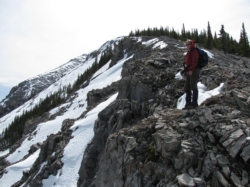 Lots to see on the way up.
