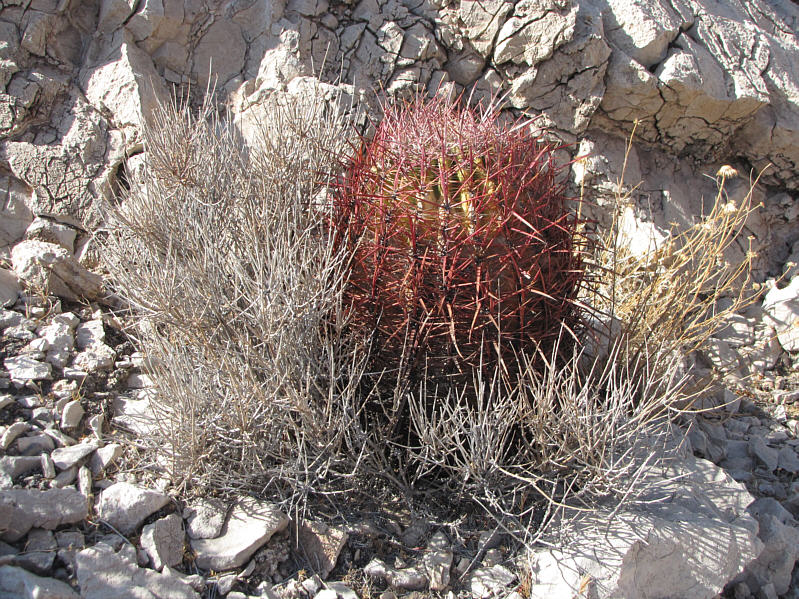 Watch where you step!