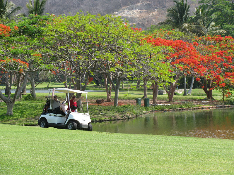 What are they waiting for?