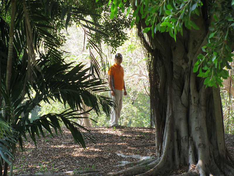 This picture says it all about my golf game!