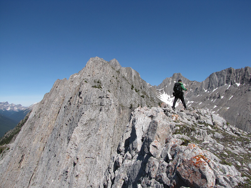 Now the fun begins...