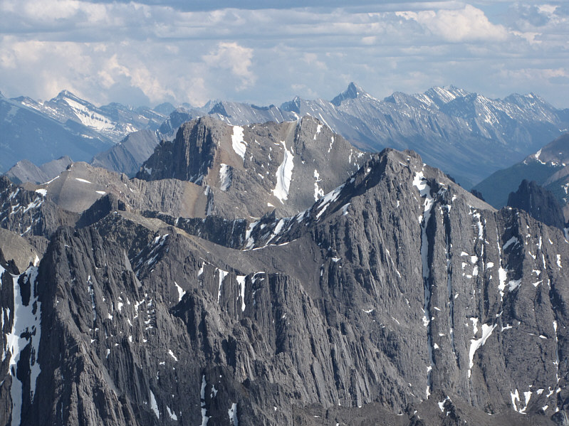 Maybe I'll give Old Goat a try this year as well.