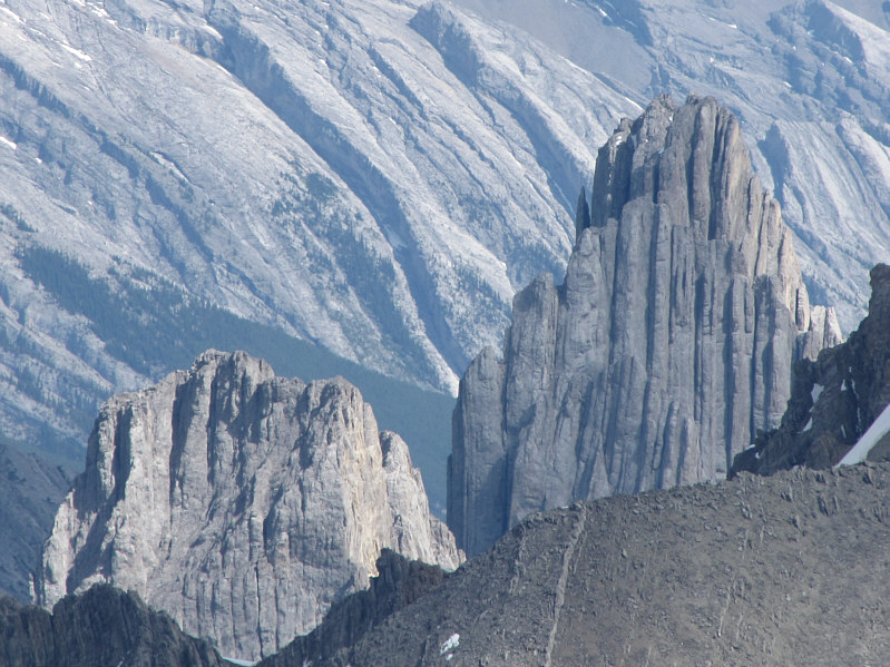 Even dogs get mountains named after them!