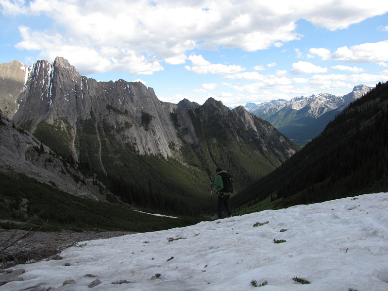 It gets bushy lower down.