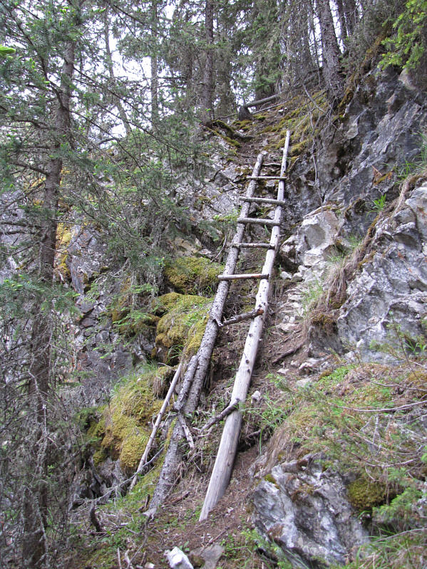 Don't trust it! This thing is ready to snap and fall apart!