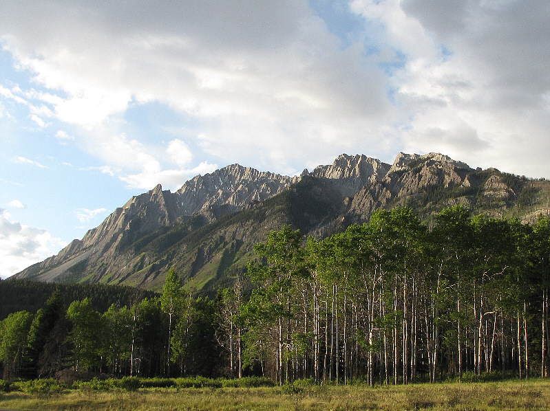Time for a double cheeseburger and an extra large Fresca!