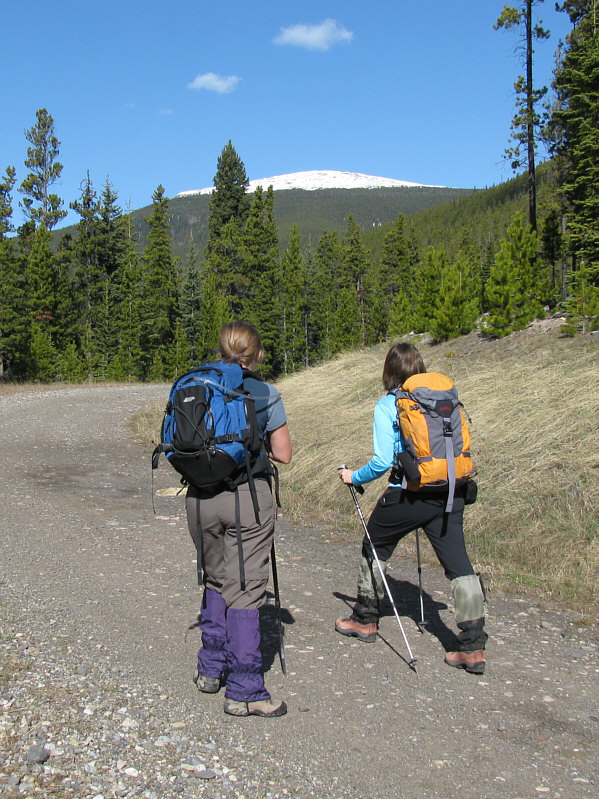 Doesn't look like much, but a peak is a peak!