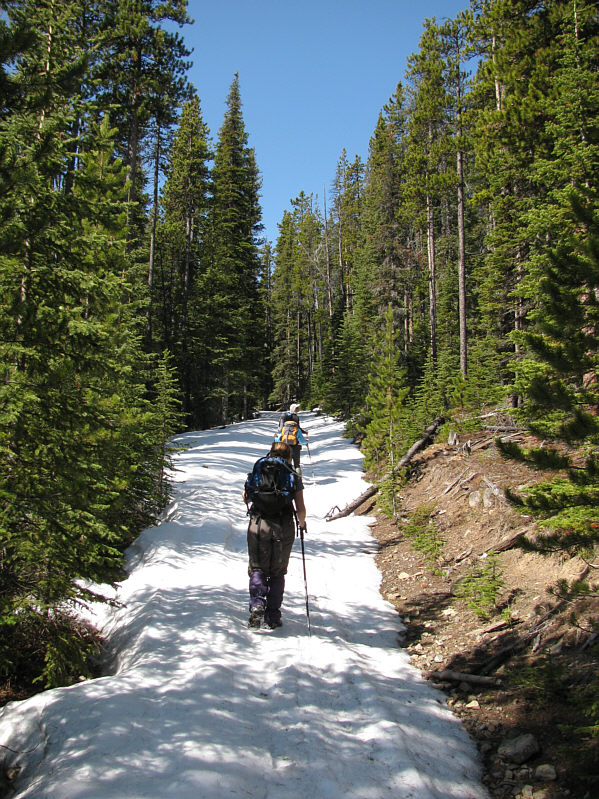 This is about where we left the road and headed up through the trees to the right.