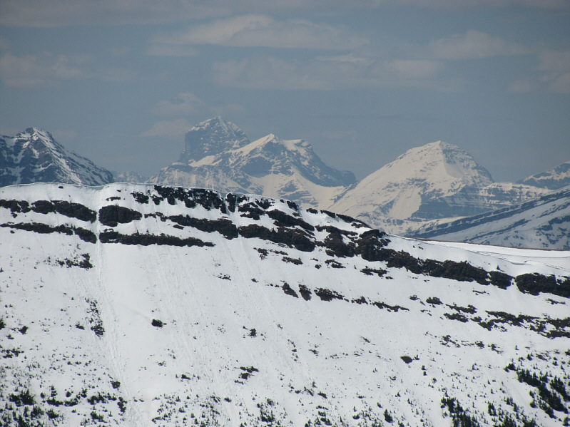 I'd like to give Harrison a try this summer.