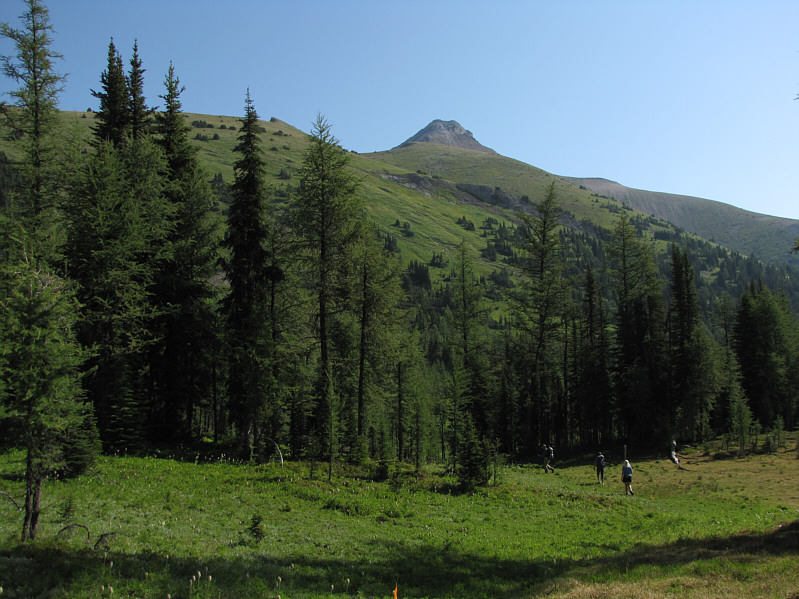 The detour is a little annoying.